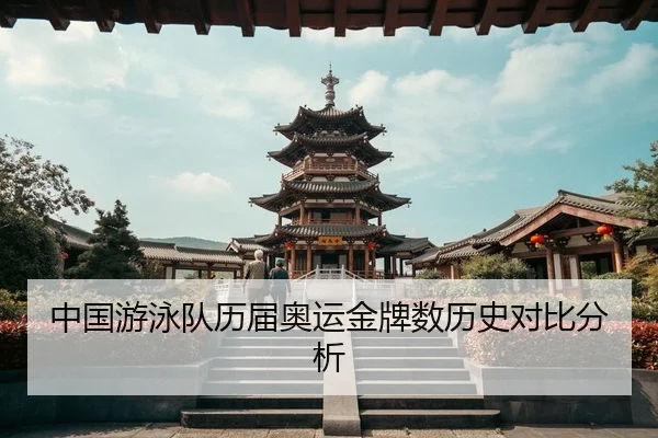 zhong-guo-you-yong-dui-li-jie-ao-yun-jin-pai-shu-li-shi-dui-bi-fen-xi-2-317.jpg